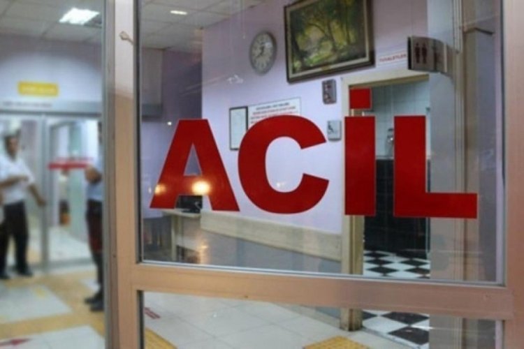 Kastamonu'da mantar yiyen 6 kişi zehirlendi