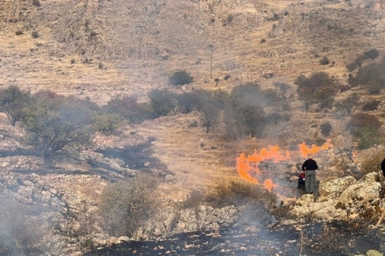 Mardin'de &ccedil;ıkan ot yangını s&ouml;nd&uuml;r&uuml;ld&uuml;