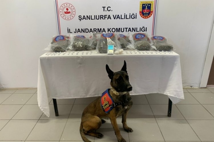 Şanlıurfa'da uyuşturucu operasyonunda 20 kilogram uyuşturucu madde ele ge&ccedil;irildi