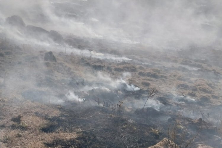 Kayseri'de anız yangını