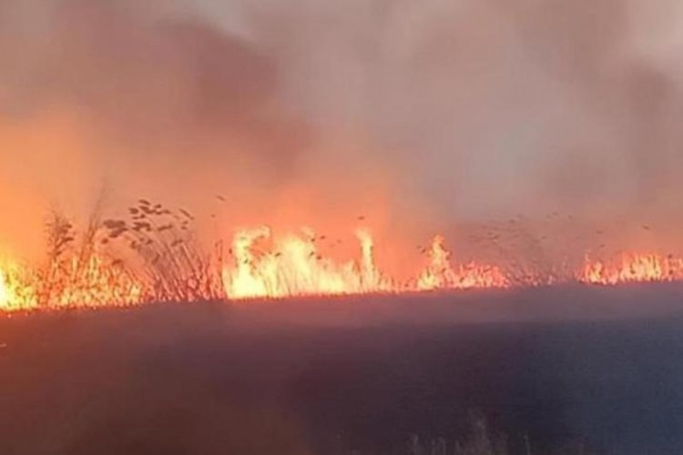 Eber G&ouml;l&uuml;'nde yangın: M&uuml;dahale s&uuml;r&uuml;yor