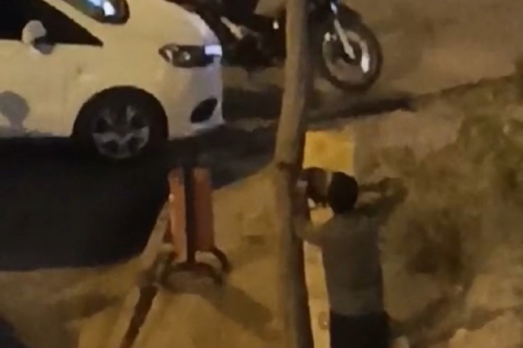 Mardin'de kaldırımdaki ağa&ccedil;lar izinsiz kesildi