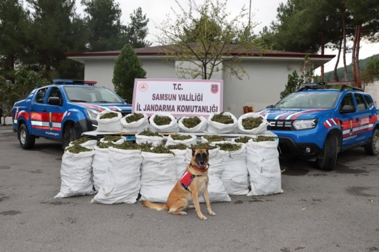 Samsun'da d&uuml;zenlenen operasyonda 160 kilogram uyuşturucu ele ge&ccedil;irildi