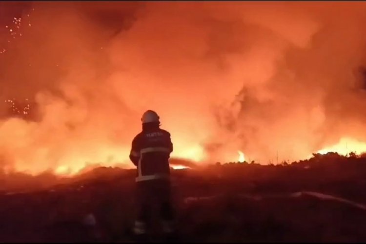 Hatay'da tarım arazisinde yangın