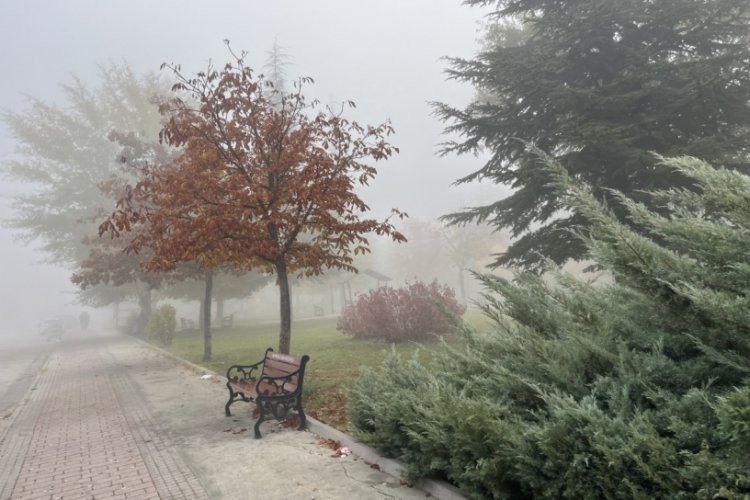 Eskişehir'de sabah saatlerinde sis etkili oldu
