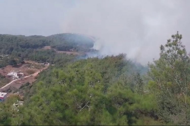 Hatay'da orman yangını!