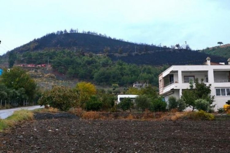 Hatay'daki yangın 20 saat sonra kontrol altına alındı