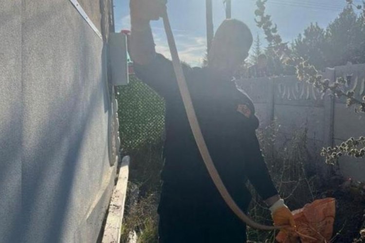 Metrelerce uzunluktaki zehirli engereği eliyle yakaladı