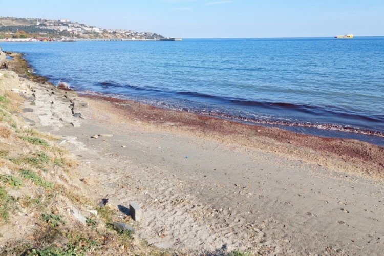Tekirdağ sahili kızıla b&uuml;r&uuml;nd&uuml;