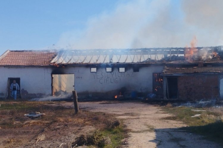 Anız yangını depoya sı&ccedil;radı, 15 ton buğday k&uuml;l oldu