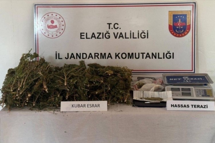 Elazığ'da 3 kilo 200 gram esrar ele geçirildi: 1 gözaltı