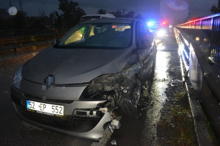 Ordu'da kediye çarpmamak için yaralandı