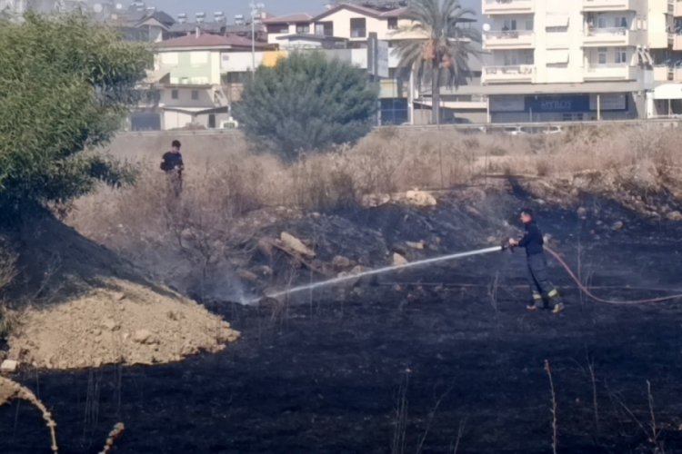 Antalya'da çıkan yangın, konutlara ulaşmadan söndürüldü