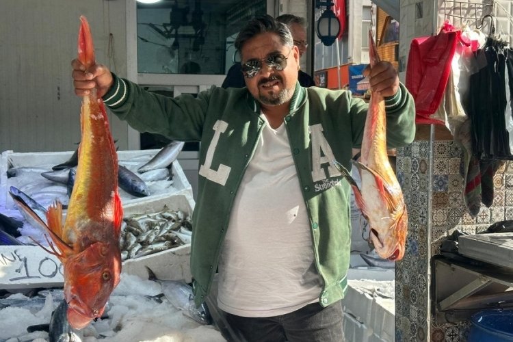 Sinop'ta 6 kilogramlık kırlangıç balığı ağlara takıldı