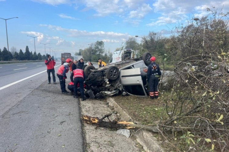 Sakarya'da araç kontrolden çıktı, 3 ağacı devirdi: 2 yaralı