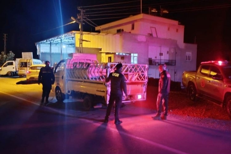 Mersin'de jandarma ekiplerince ormanlar, kanun dışı müdahalelerden korunuyor