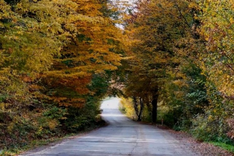 Samsun'da büyüleyici sonbahar