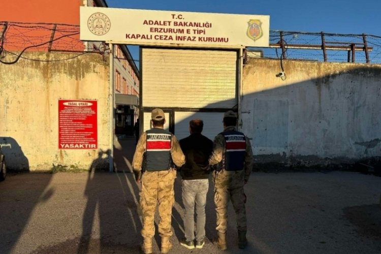 Erzurum'da jandarmadan kaçak şahıslara operasyon