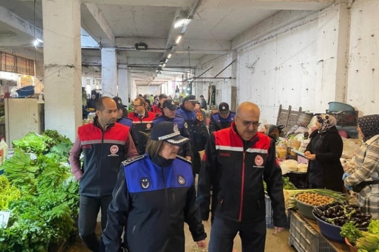 Zonguldak'ta yabani mantarlar koruma amacıyla imha edildi