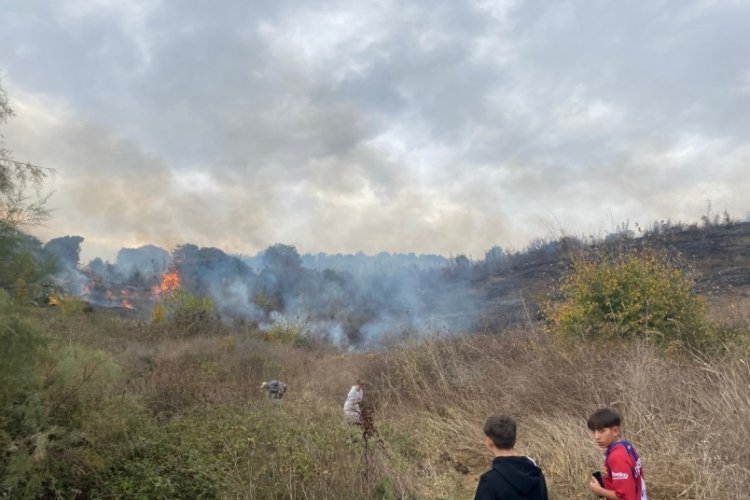 Çanakkale Biga'da orman yangını