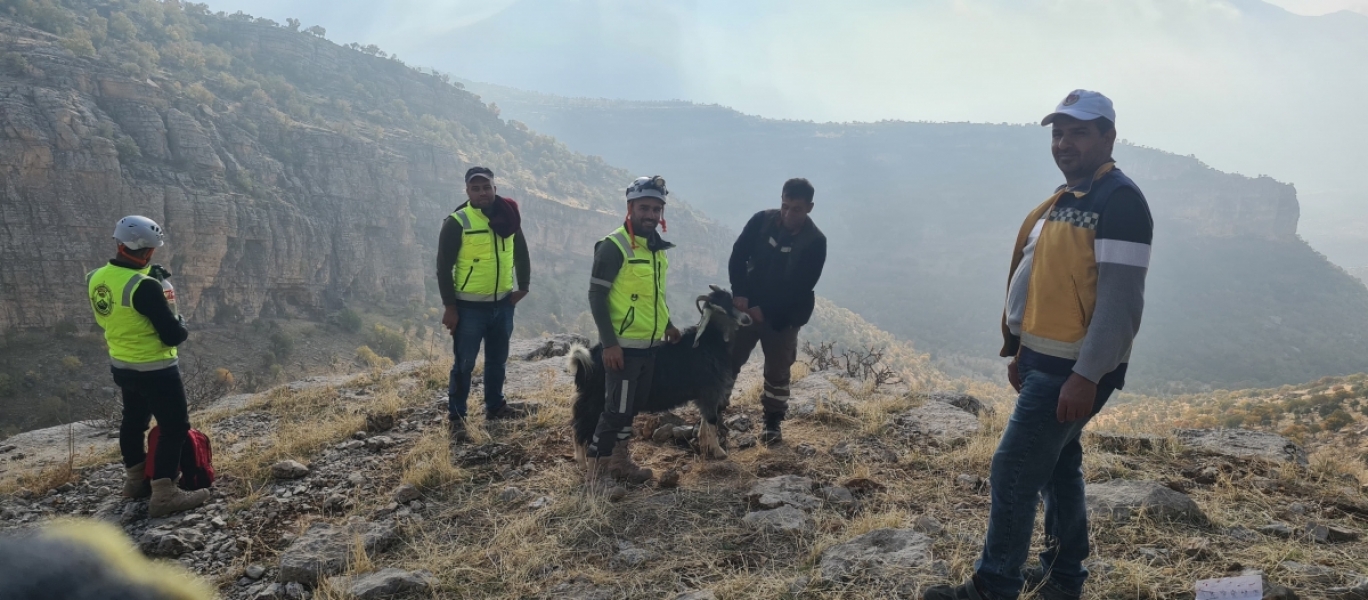 Eruh Arama ve Kurtarma, uçurumda mahsur kalan kediyi kurtardı