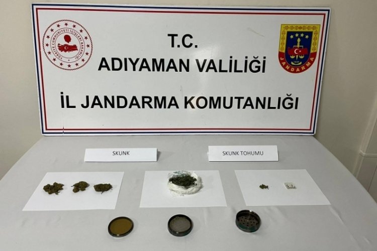 Adıyaman'da bir araçtan 13 adet skunk tohumu ele geçirildi