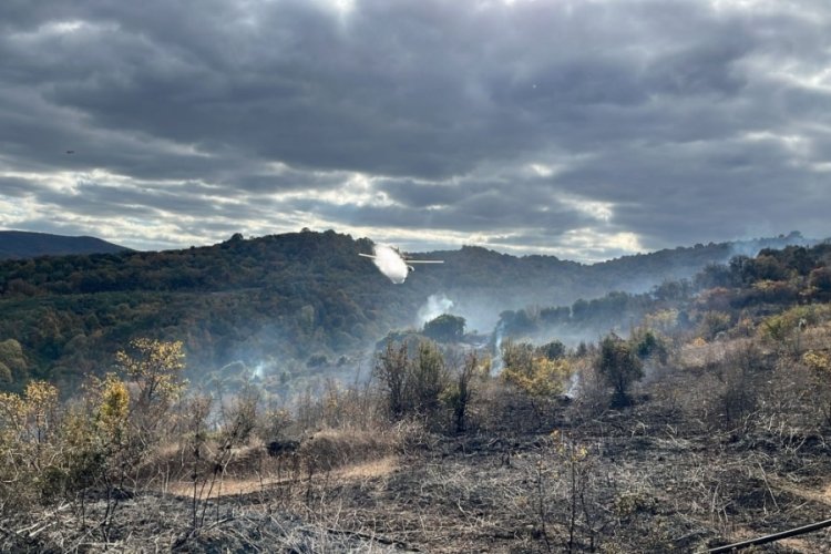 Çanakkale'deki yangında 2 hektarlık alan zarar gördü