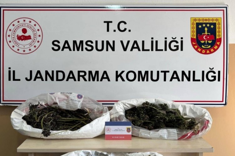 Samsun'da jandarma düzenlediği operasyonla 627 gram esrar yakaladı