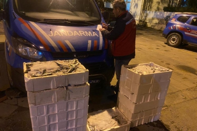 İstanbul'da 300 kilogram balığa el konuldu, 3 araç sahibine 78 bin 726 TL para cezası uygulandı