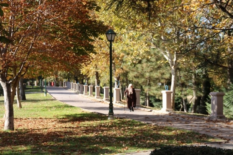 Eskişehir'de yeşil ve sarı tonlarının oluşturduğu görüntü mest etti