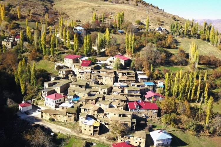  Bitlis'te taş evleri sonbahar renklerine büründü