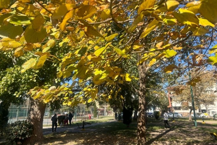 Eskişehir'de sonbahar pastel renkleriyle kendine hayran bıraktı