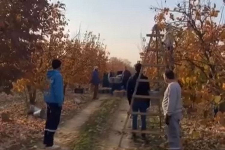 Ulu Önder Atatürk Bursa'da anıldı: İşçiler tarlada saygı duruşuna geçti