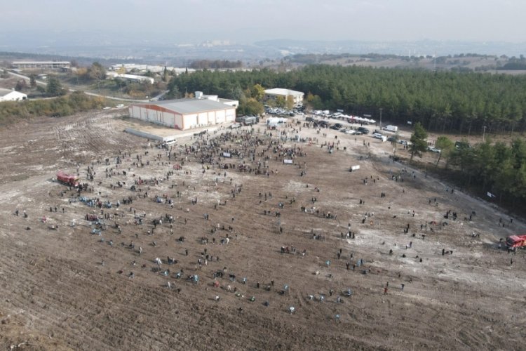Bursa Uludağ &Uuml;niversitesi'nde fidan dikim etkinliği d&uuml;zenlendi