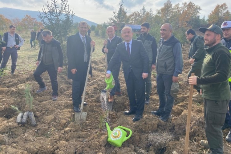 Bursa'da 1500 fidan toprakla buluştu