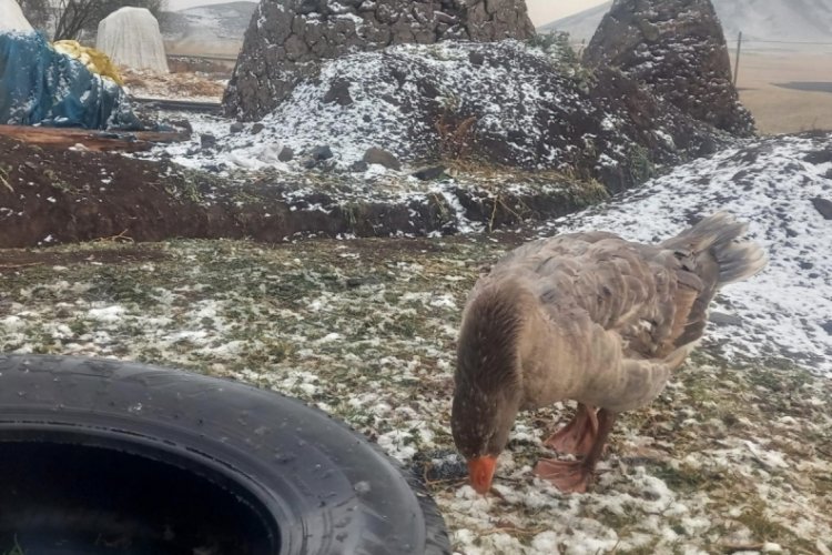 Kars kar yağışıyla beyaza b&uuml;r&uuml;nd&uuml;