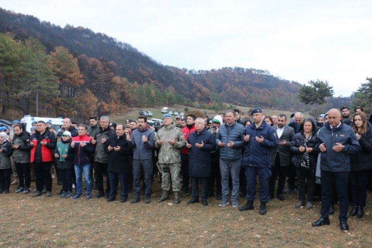 Bolu'da yangınların yaraları sarılıyor