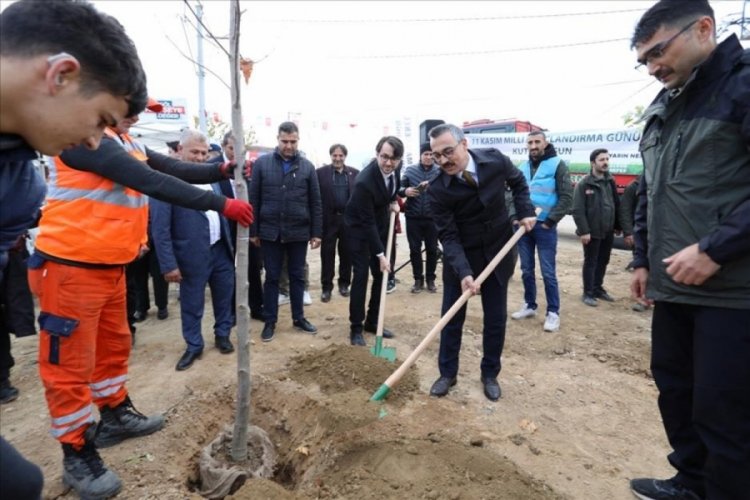 Bursa İneg&ouml;l'de 500 fidan toprakla buluştu