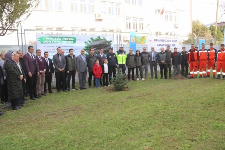 Amasya'da fidanlar toprakla buluştu