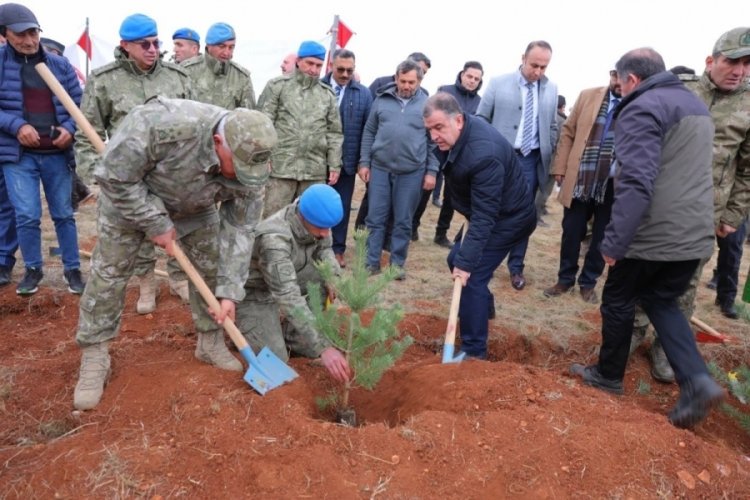 Bayburt'ta daha yeşil bir gelecek için fidanlar dikildi!