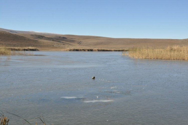 Kars'ta lavaş gölü buz tuttu!