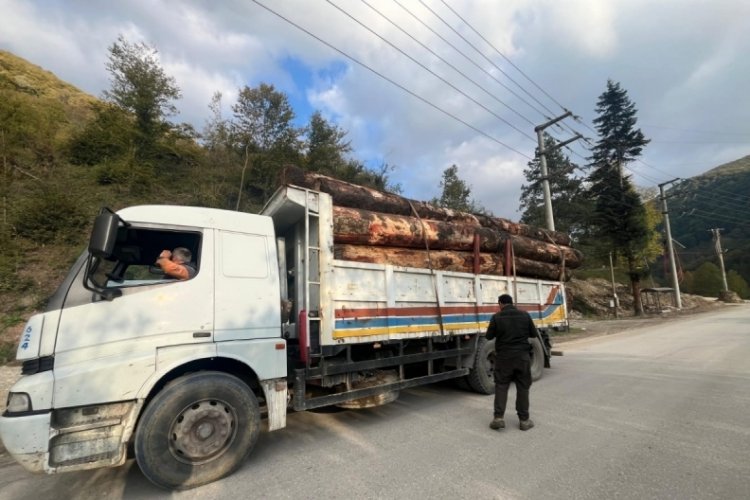 Bolu'da kaçak odun dolu kamyonlar yakalandı