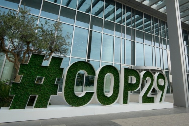 Hangi liderler Bakü'deki COP29'a katılmama kararı aldı?