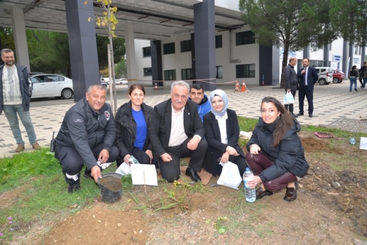 BUÜ'de ağaçlandırma çalışmaları devam ediyor