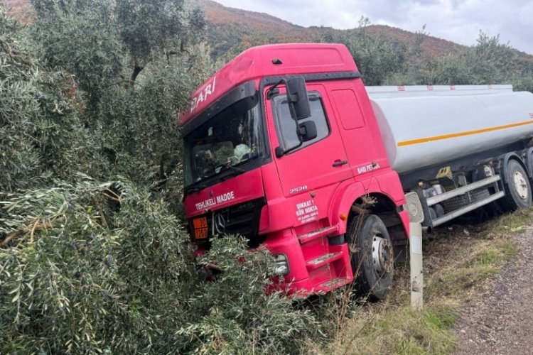 Bursa'da kayganlaşan yolda kontrolden çıkarak zeytin ta...