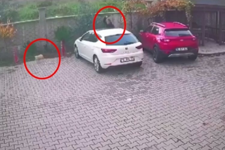 Bursa'da site bah&ccedil;esindeki k&ouml;peğe ayakkabı fırlatıp, tekme attı!