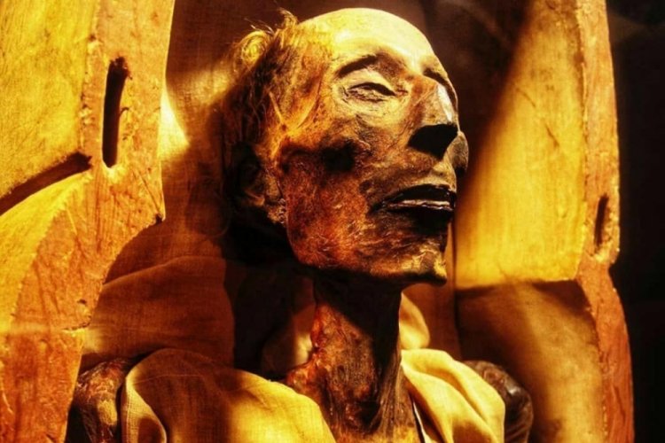 II. Ramses'in neden pasaportu var?