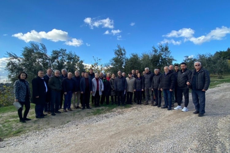 Osmangazi Kent Konseyi Kırsal ve Çevre Çalışma Grubu zeytin ağaçlarını yalnız bırakmıyor