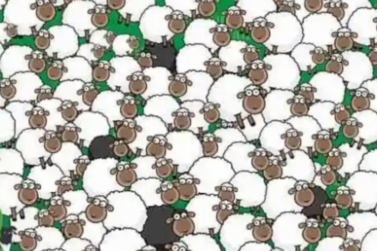 Resimdeki gizli k&ouml;peği 9 saniyede kimse bulamıyor