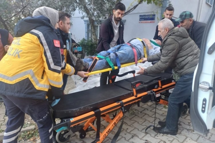 Bursa'da zeytin ağacından d&uuml;şen yaşlı adam yaralandı!
